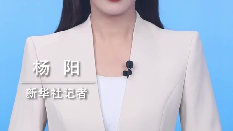 Python知识图谱开源框架：构建智能图谱的利器