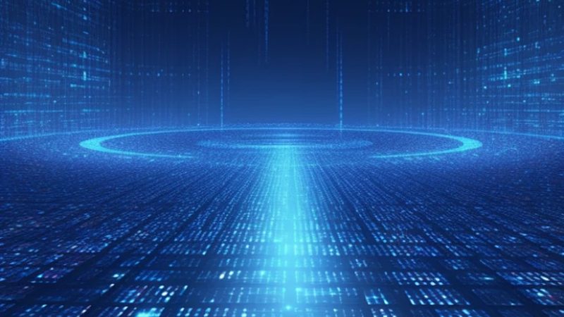 科技服务加盟：区域保护政策解析与应对策略**